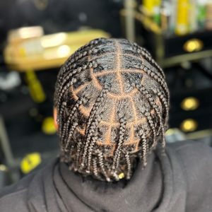 Men's Plaits